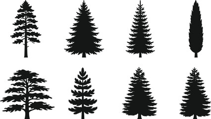 Obraz premium Evergreen Conifer Tree Silhouette Collection with Pine Fir and Cypress Trees