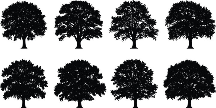 Black tree silhouette collection isolated on white background, detailed forest oak tree shapes, vector illustration for landscape, nature, and environment design
