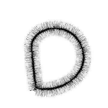 Alphabet leter