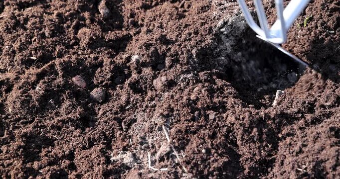 Dark brown peat for seedlings, nutritious porous peat with fibers is prepared for growing various vegetable crops