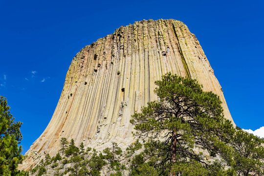 Close Up View of Devils Tower on a Summer Day