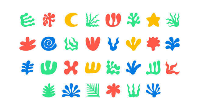 Set of abstract organic summer shapes. Vector icons in minimalist contemporary style. Silhouettes of algae, leaves, corals and seashells
