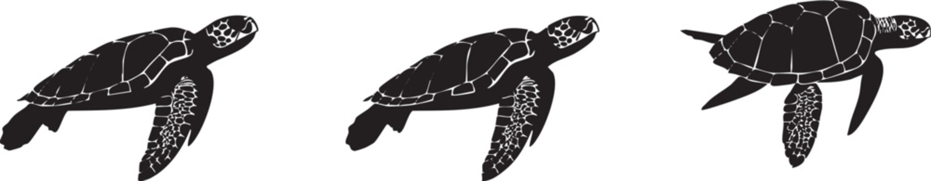 Black sea turtle silhouettes swimming side by side marine animal ocean life