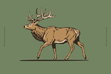 Obraz premium Hand-drawn illustration of a majestic stag with large antlers walking in profile. Vintage engraving style wildlife artwork ideal for hunting themes, nature books, posters, branding, and apparel.