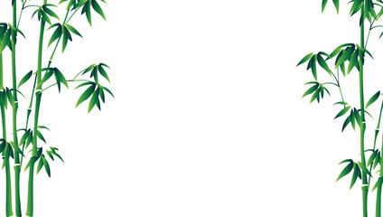 Fototapeta premium Chinese Bamboo Vector Traditional Asian Botanical Plant.