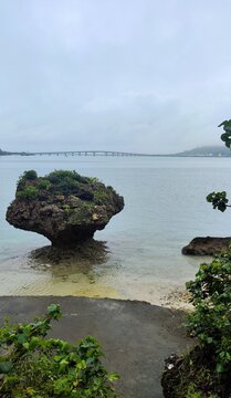 Beautiful, oddly shaped rock in the sea against the backdrop of bridge and bay