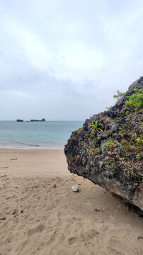 Big Rock with Plants on the Sand Beach