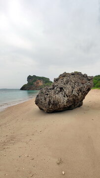 Deserted Beach with Rocks and Trees
