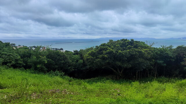 Lawn and forest against backdrop of sea