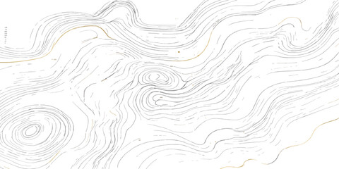 Abstract topographic map contour lines background with topography abstract elevation geography cartography landscape technical minimalist background navigation geometry illustration © MD OSMAN