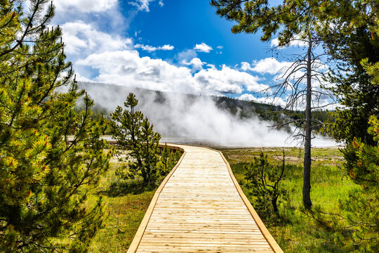 Scenic view of Grotto Geyser Yellowstone