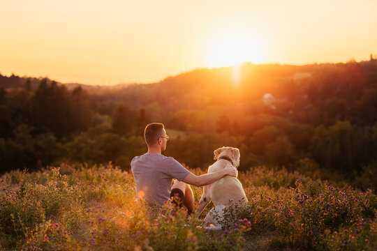 Man sitting together with his dog on green grass meadow during beautiful golden sunset. Friendship, domestic pet animal companionship, outdoor relaxation and lifestyle concept.