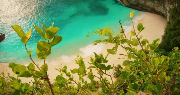 Aerial view of turquoise cove framed by tropical leaves at sandy Kelingking Beach Bali Nusa Penida