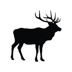 Fototapeta premium Deer head, deer head logo silhouette vector art illustration, deer silhouette, deer with antlers side view silhouette