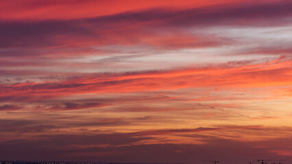 Fototapeta premium Vibrant sunset sky with shades of orange, pink, and purple clouds over a distant horizon, illuminated by the fading light of day