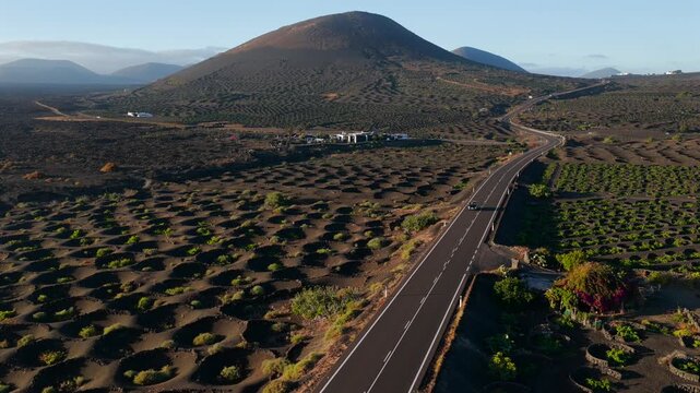 Aerial Sunset View of the Volcanic Vineyards and Ash Craters in La Geria Lanzarote