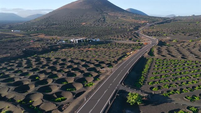 Aerial Sunset View of the Volcanic Vineyards and Ash Craters in La Geria Lanzarote