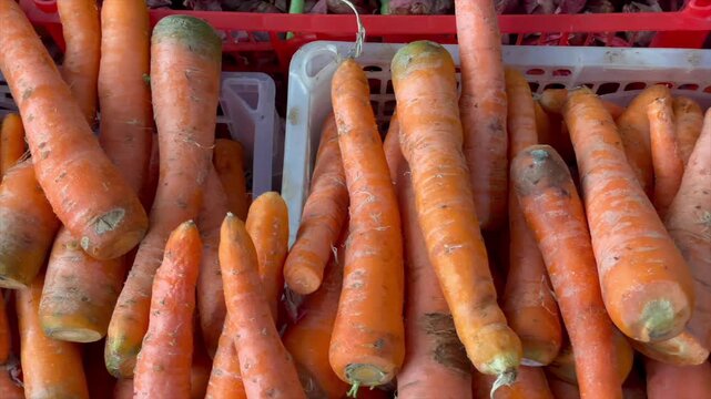 Fresh orange carrots in plastic containers at the market