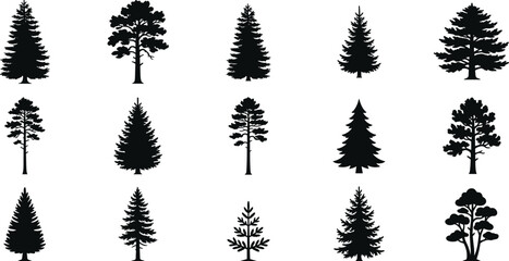 Black silhouettes of various pine trees on white background, tree silhouettes black, and white black and white © Aysha