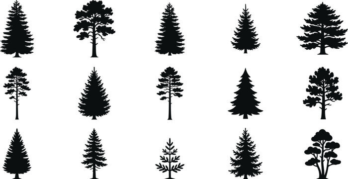 Black silhouettes of various pine trees on white background, tree silhouettes black, and white black and white