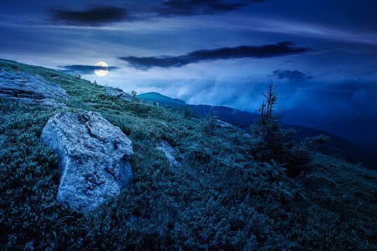 green landscape of mountain in summer at night. mysterious view of rock among grass on the hillside. full moon over travel background under a dark sky. mountain scenery with rolling hills
