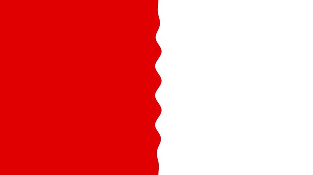 Red and white wavy partition in the middle motion graphics background
