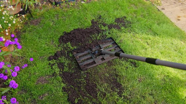 Levelling an uneven and bumpy lawn with a lawn leveller in a backyard with top soil