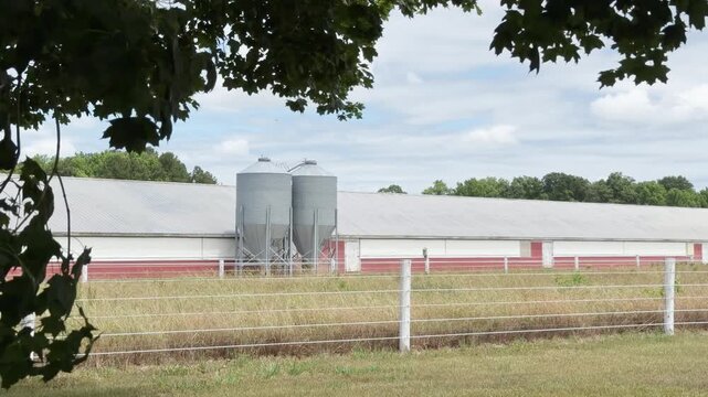 Poultry Houses with feed silos stands behind a horse pasture surrounded with white washed post and wire fence.