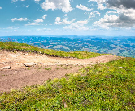 hiking path in carpathian mountains. alpine nature of transcarpathia in summer. ukraine mountain landscape for travel. views of borzhava ridge