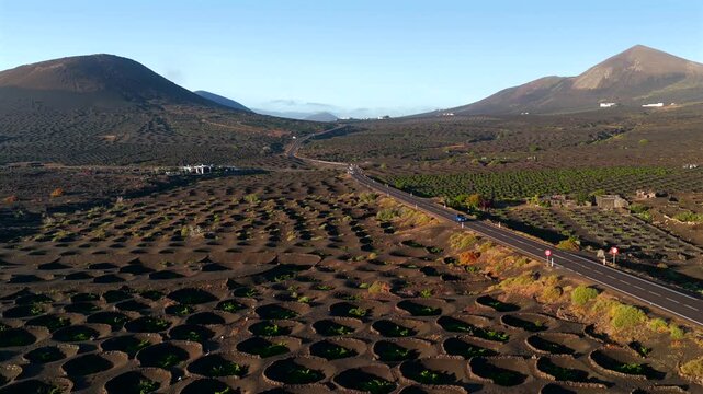 Aerial Sunset View of the Volcanic Vineyards and Ash Craters in La Geria Lanzarote