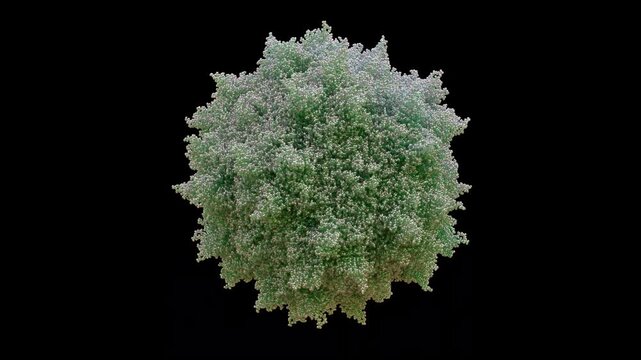 3D AAV8 Adeno-Associated Virus8 capsid 60-mer icosahedral Replication-defective Non-pathogenic, primarily for liver, heart, muscle gene delivery Treat Hemophilia A, B, and Pompe Disease.