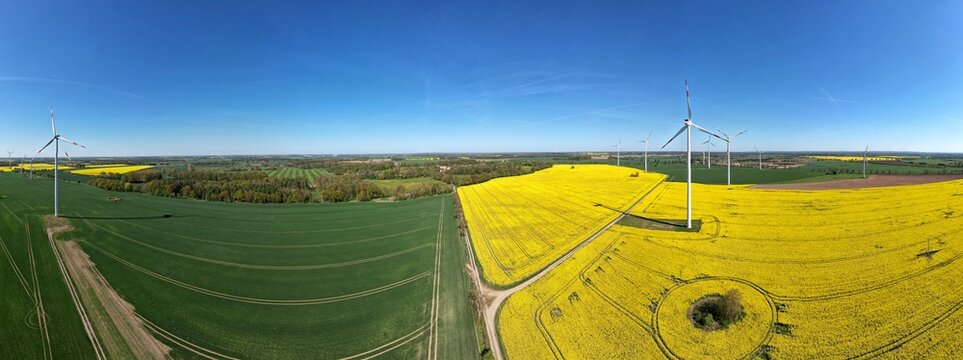 Landschaft bei Stretense s&uuml;dlich Anklam an der B 197 im Mai 2025, 180&deg;-Panorama
