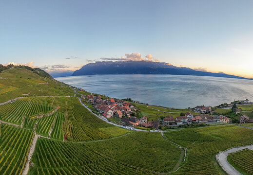 Aerial view of the historic village of Epesses nestled within the terraced vineyards of Lavaux overlooking Lake Geneva at sunset, Bourg-en-Lavaux, Vaud, Switzerland.