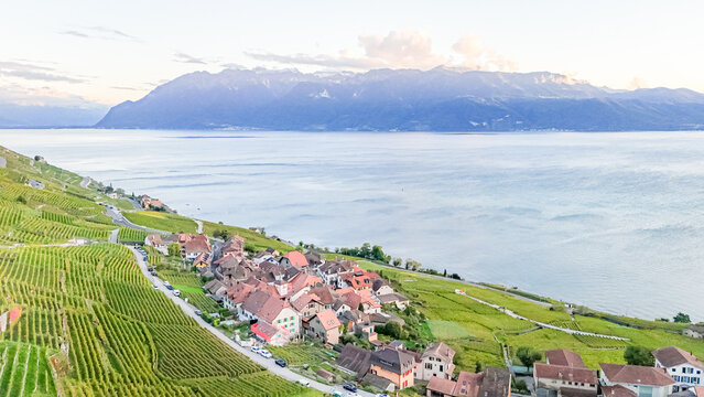 Aerial view of the historic village of Epesses nestled among the terraced vineyards of the Lavaux region overlooking Lake Geneva in Bourg-en-Lavaux, Vaud, Switzerland.