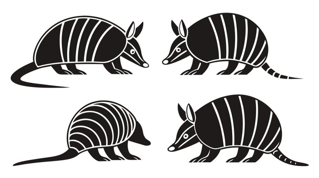 Vector illustration set of armadillos