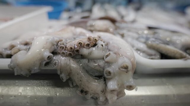 Fresh raw octopus tentacles at fish market stall