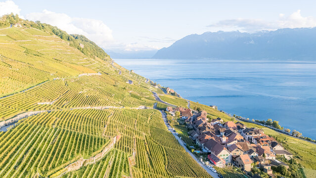 Aerial view of the historic village of Epesses nestled within the terraced vineyards of the Lavaux region overlooking Lake Geneva in Bourg-en-Lavaux, Vaud, Switzerland.