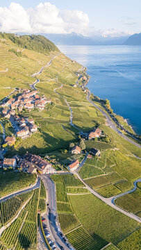Aerial view of Epesses village nestled within the terraced vineyards of the Lavaux region overlooking Lake Geneva in Bourg-en-Lavaux, Vaud, Switzerland.