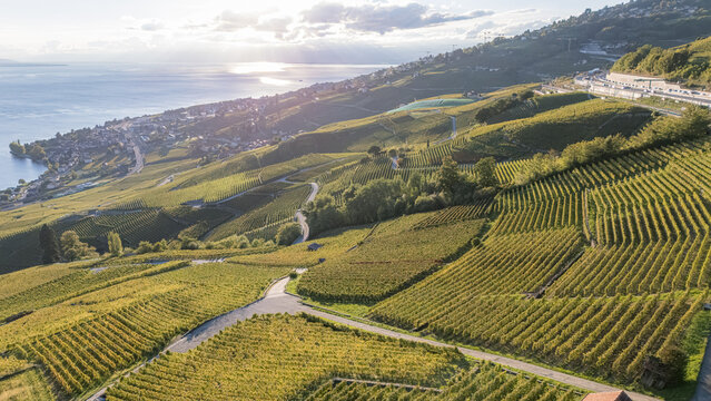 Aerial view of the terraced vineyards of Epesses overlooking Lake Geneva with winding roads and lush green hills in Bourg-en-Lavaux, Vaud, Switzerland.