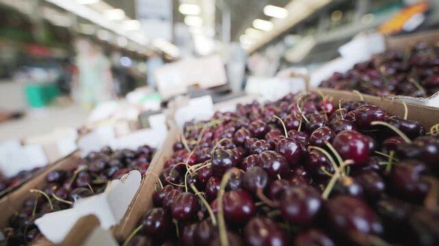 Fresh ripe cherries for sale in supermarket aisle