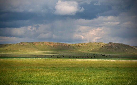 An endless green meadow under looming Montana thunderheads