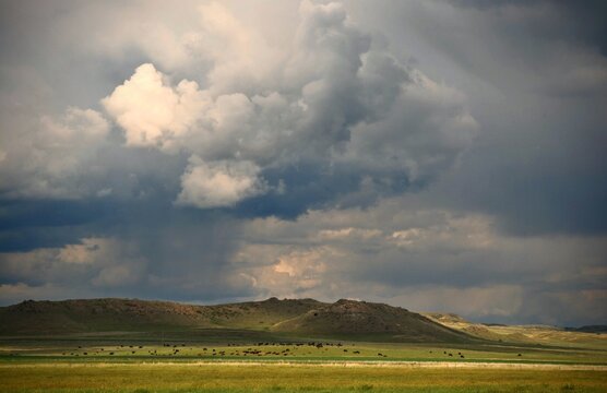 Rainclouds build over rugged Montana hills and a herd of cattle
