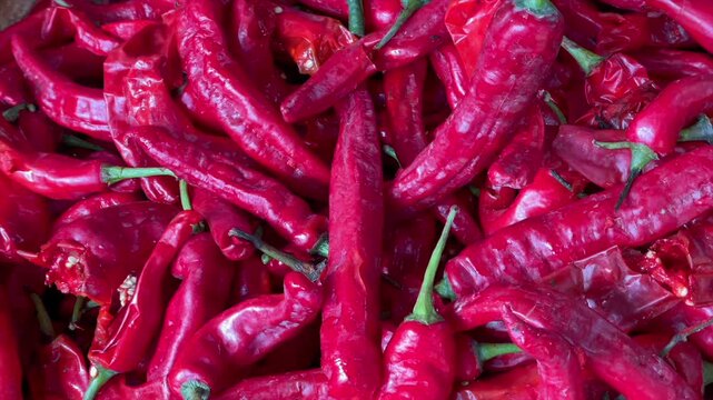 Pile of fresh red chili peppers