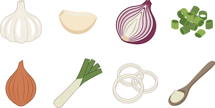 Fresh culinary allium vegetables vector icon set with garlic, onions, leek, and scallions for food design