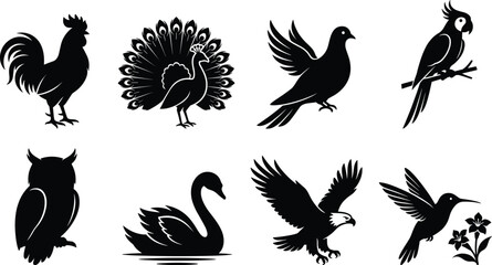 Beautiful birds silhouettes set featuring rooster peacock flying dove parrot owl swan eagle and hummingbird isolated on white background © Mst Shamima