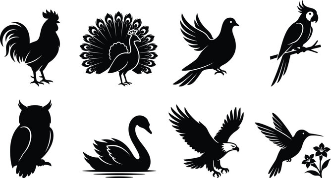 Beautiful birds silhouettes set featuring rooster peacock flying dove parrot owl swan eagle and hummingbird isolated on white background