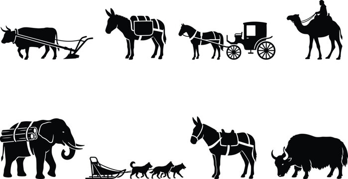 Collection of working and transport animal silhouettes including horse carriage ox plow camel elephant sled dogs and yak on white