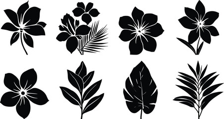 Obraz premium Collection of tropical flower silhouettes and exotic palm leaf botanical design elements isolated on a white background
