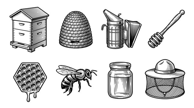 Vintage Beekeeping and Honey Production Vector Illustration Set featuring Beehive Smoker Honeycomb and Bee Icons in Engraving Style
