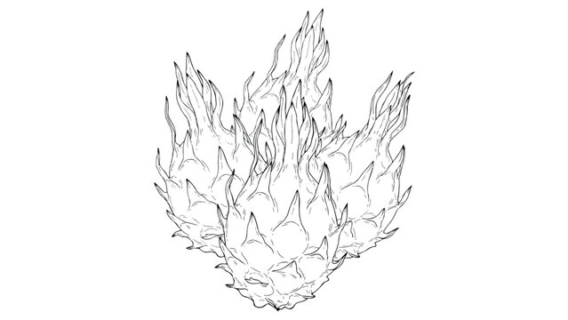 flame  fire  burning  hot  illustration